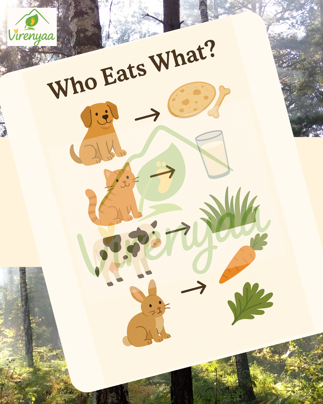 Who Eat What
